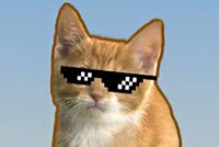 Cat Clicker MLG img