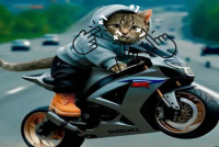 Clicker: Boys On Motorbikes img
