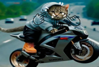 Clicker: Boys On Motorbikes